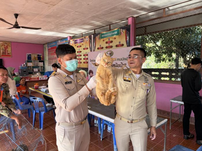 ภาพกิจกรรม โครงการสัตว์ปลอดโรค คนปลอด...