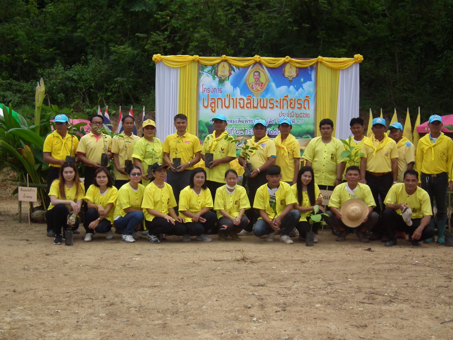 โครงการปลูกป่าเฉลิมพระเกียรตฺประจำปี2562